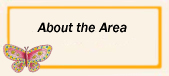 Area Information