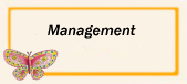 Management