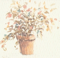 potoflowers