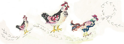 chicken feet