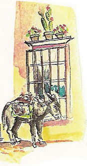 donkey